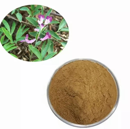 corydalis extract powder.png